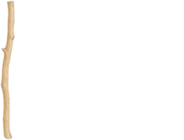 SALAS