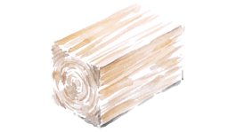 SALAS