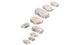 SALAS