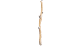 SALAS